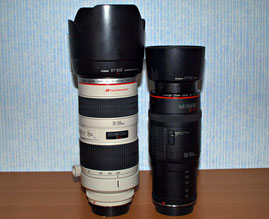 Обзор и тест Canon EF 50-200/3.5-4.5L — фото 1
